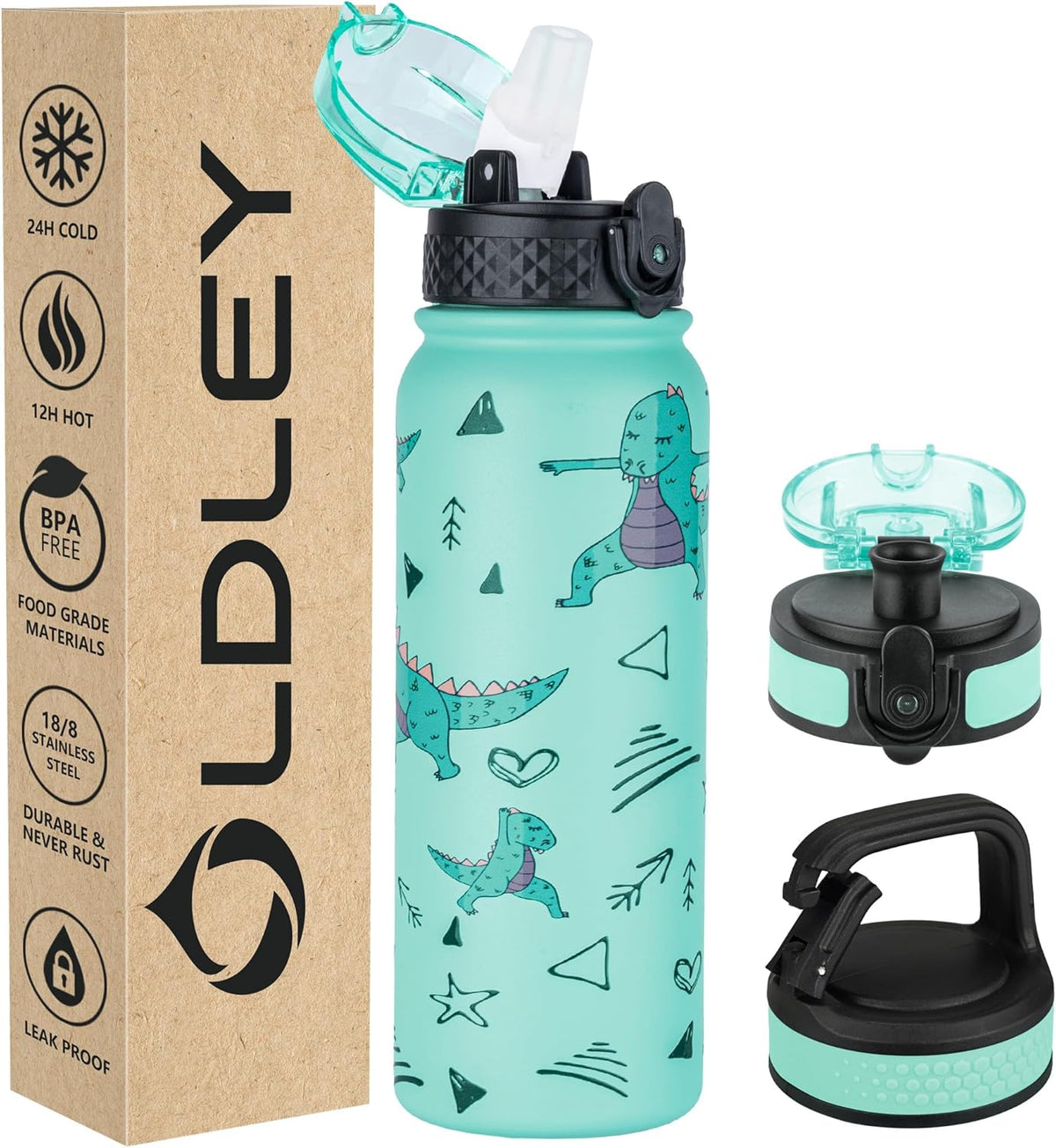 Insulated Water Bottle 20Oz Water Bottles with Straw, Stainless Steel Water Bottle with 3 Lids, Double Wall Vacuum Bottles for Adult Kids, Sports Bottles for School Travel, Cute Dinosaur