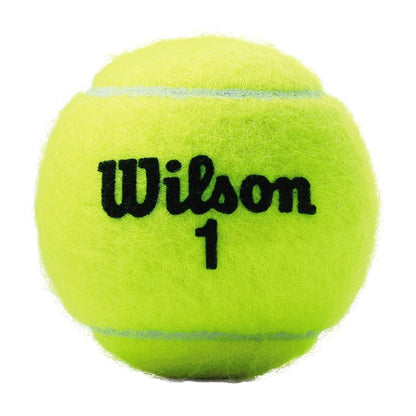 Championship Extra Duty Tennis Ball - 3 Ball Can